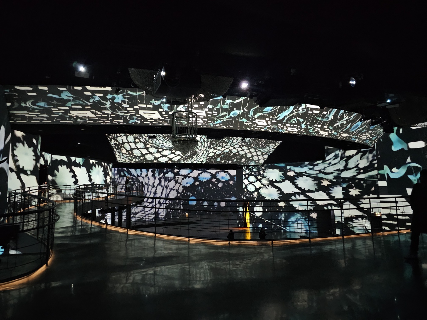 Inside the Whale showcase gallery 1