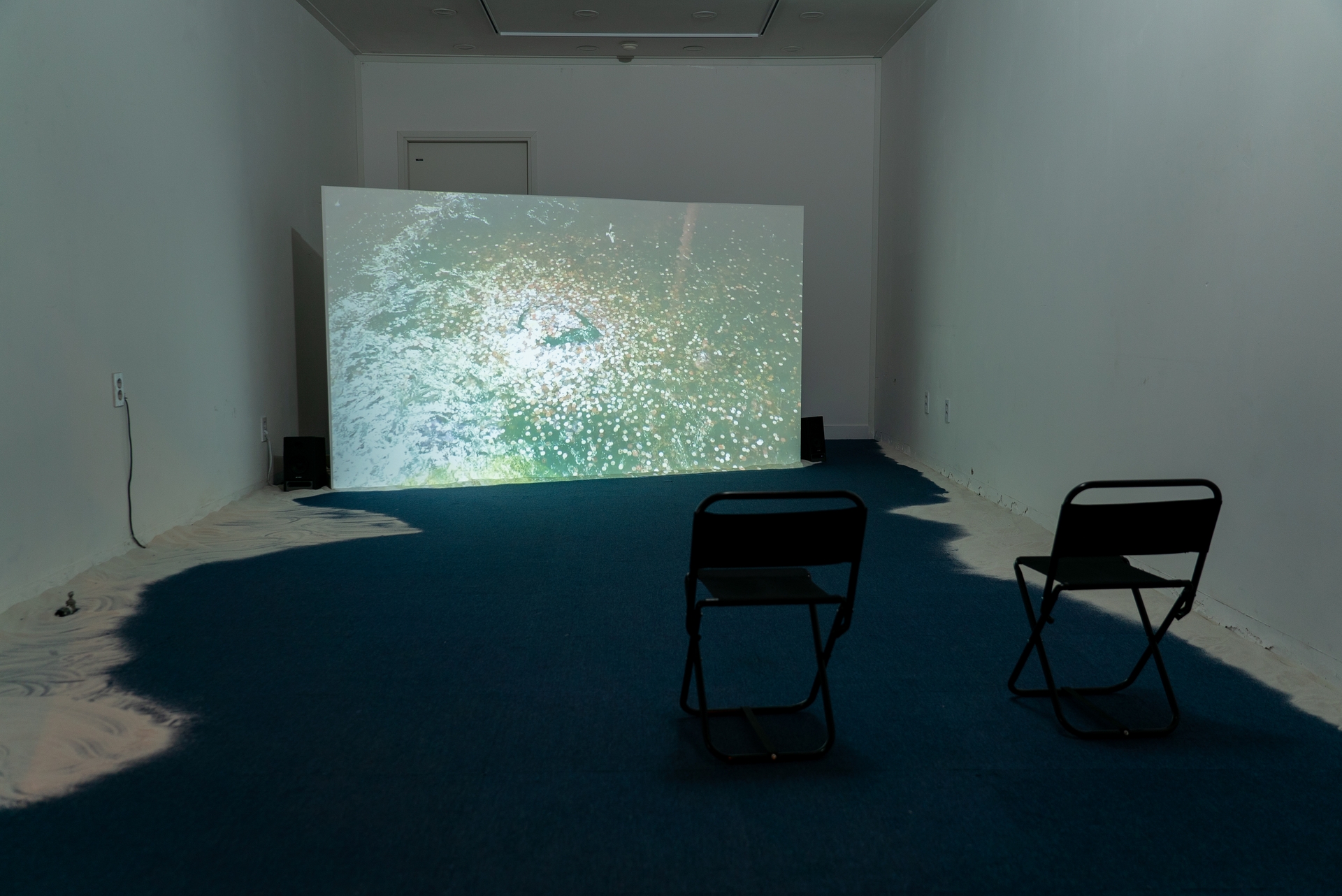 The One Who Came with Loose Hair