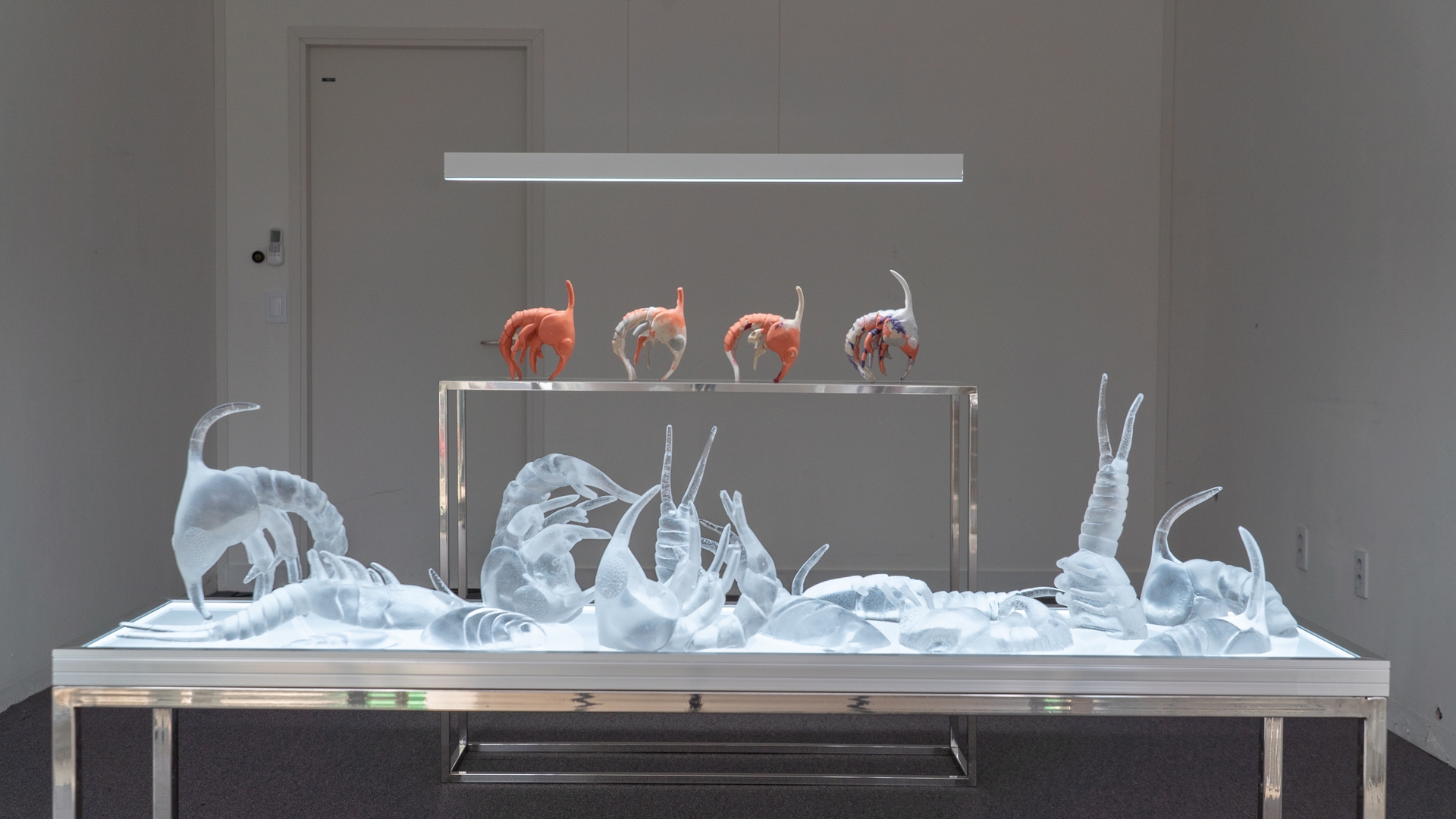 Micro-evolutionary Sculpture - Beta Test