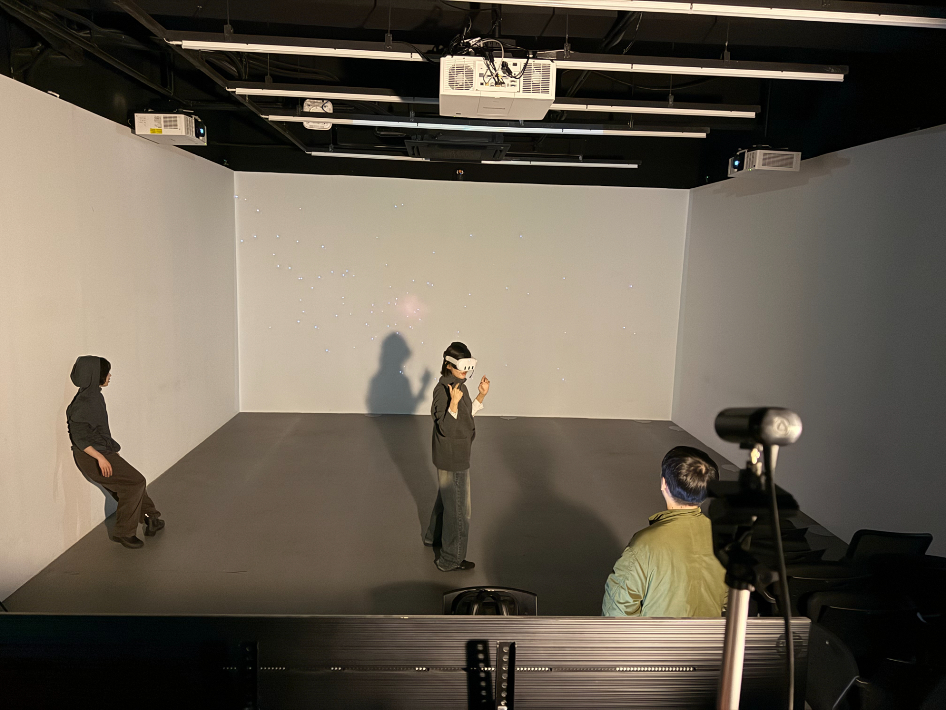 Somatic Echoes showcase gallery 3