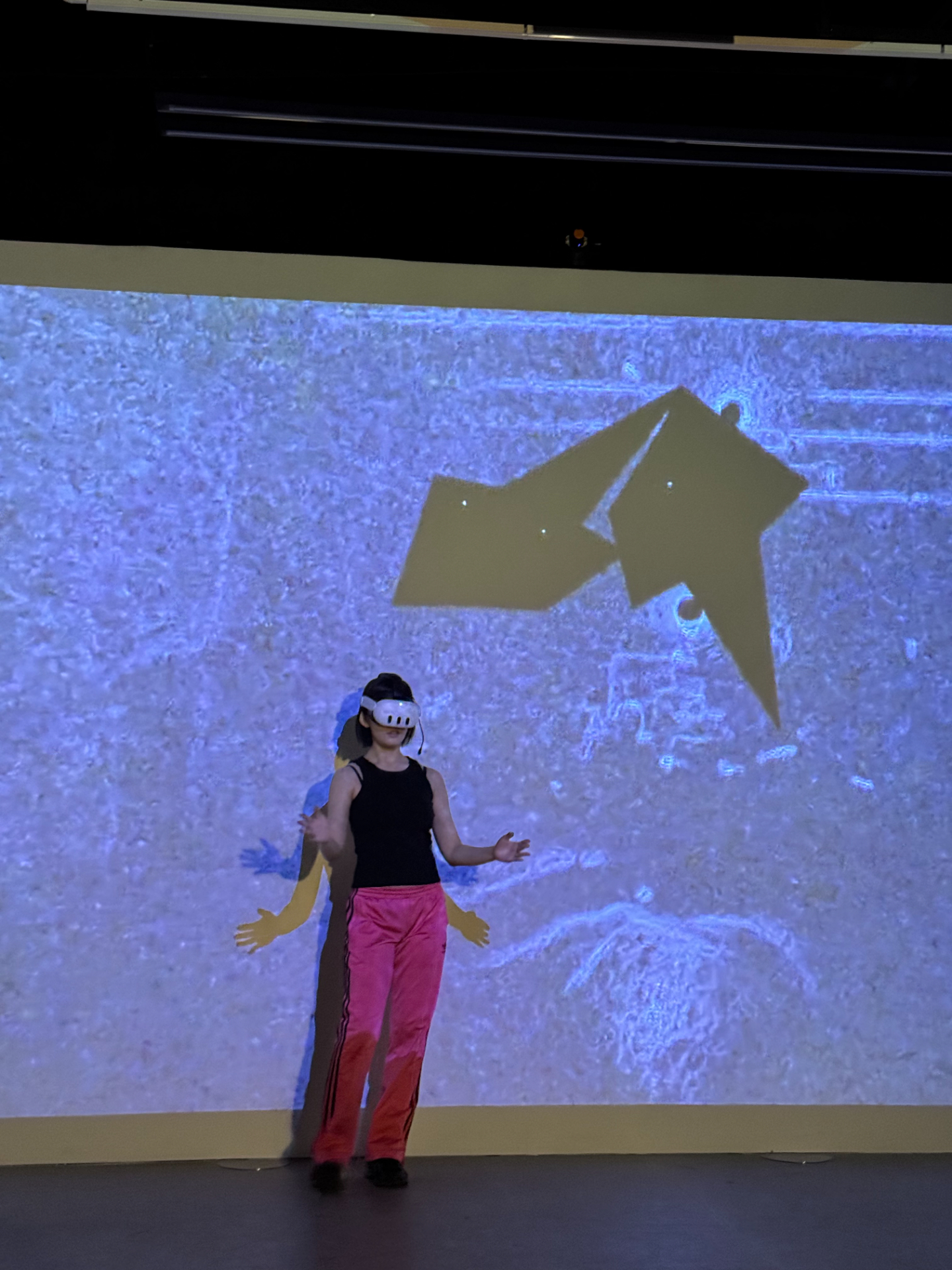 Somatic Echoes showcase gallery 4