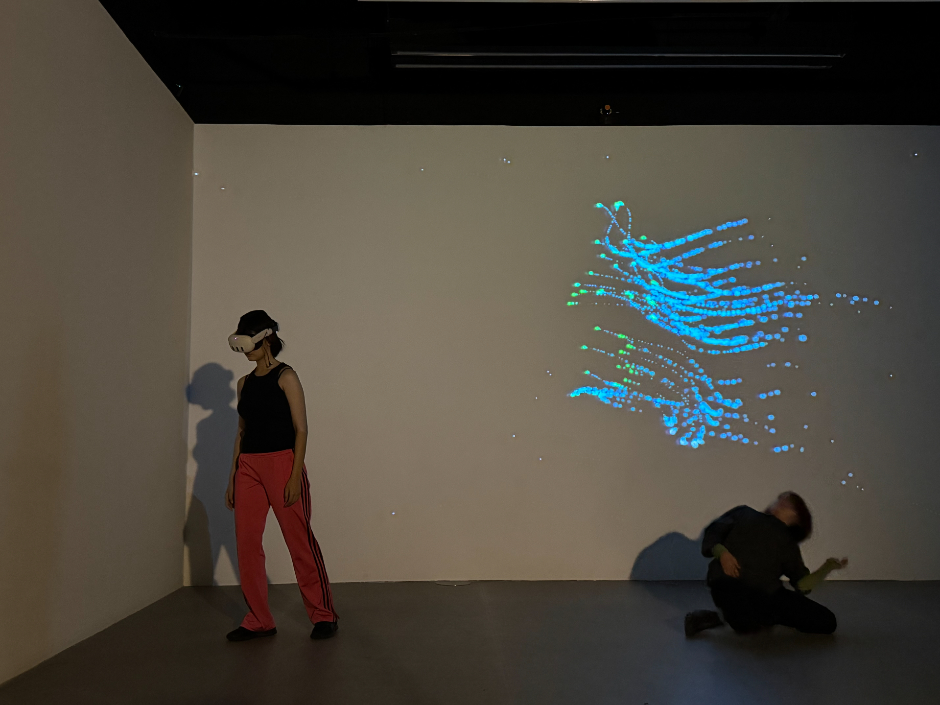 Somatic Echoes showcase gallery 5